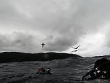 Isla del Coco - 156